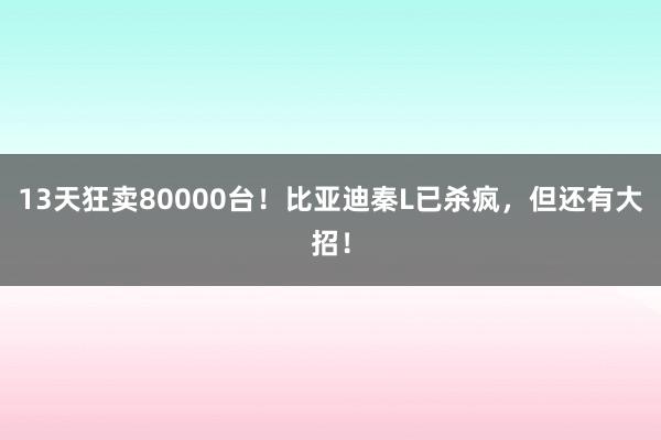 13天狂卖80000台！比亚迪秦L已杀疯，但还有大招！