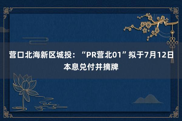 营口北海新区城投：“PR营北01”拟于7月12日本息兑付并摘牌