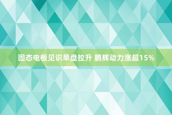 固态电板见识早盘拉升 鹏辉动力涨超15%