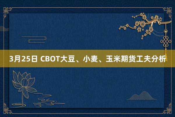 3月25日 CBOT大豆、小麦、玉米期货工夫分析