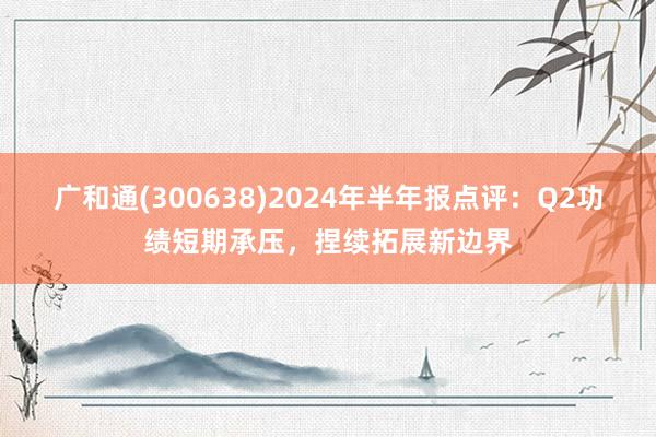 广和通(300638)2024年半年报点评：Q2功绩短期承压，捏续拓展新边界