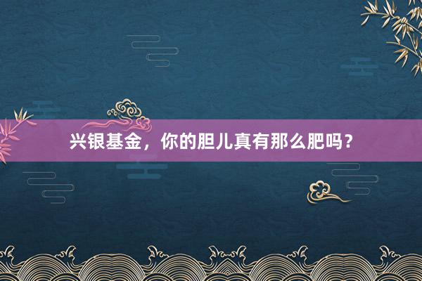 兴银基金，你的胆儿真有那么肥吗？