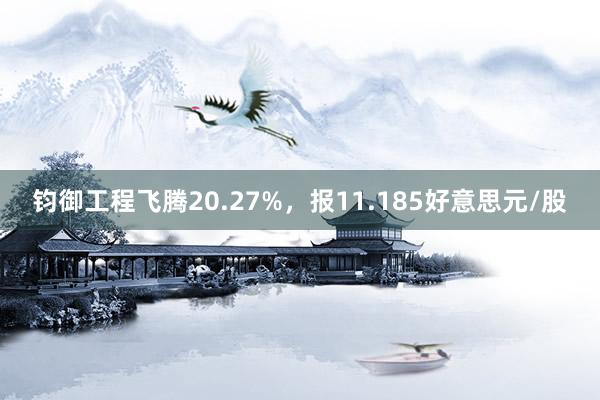 钧御工程飞腾20.27%，报11.185好意思元/股