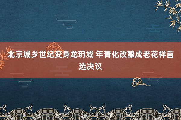 北京城乡世纪变身龙玥城 年青化改酿成老花样首选决议