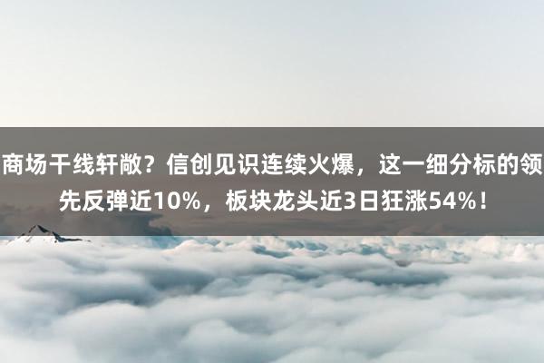 商场干线轩敞？信创见识连续火爆，这一细分标的领先反弹近10%，板块龙头近3日狂涨54%！