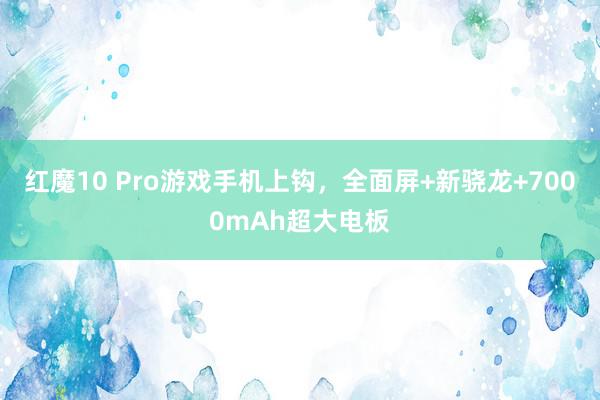 红魔10 Pro游戏手机上钩，全面屏+新骁龙+7000mAh超大电板