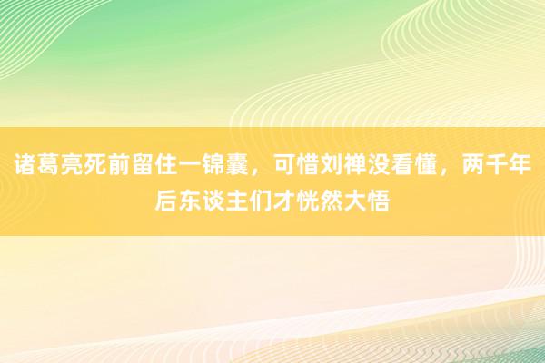 诸葛亮死前留住一锦囊，可惜刘禅没看懂，两千年后东谈主们才恍然大悟